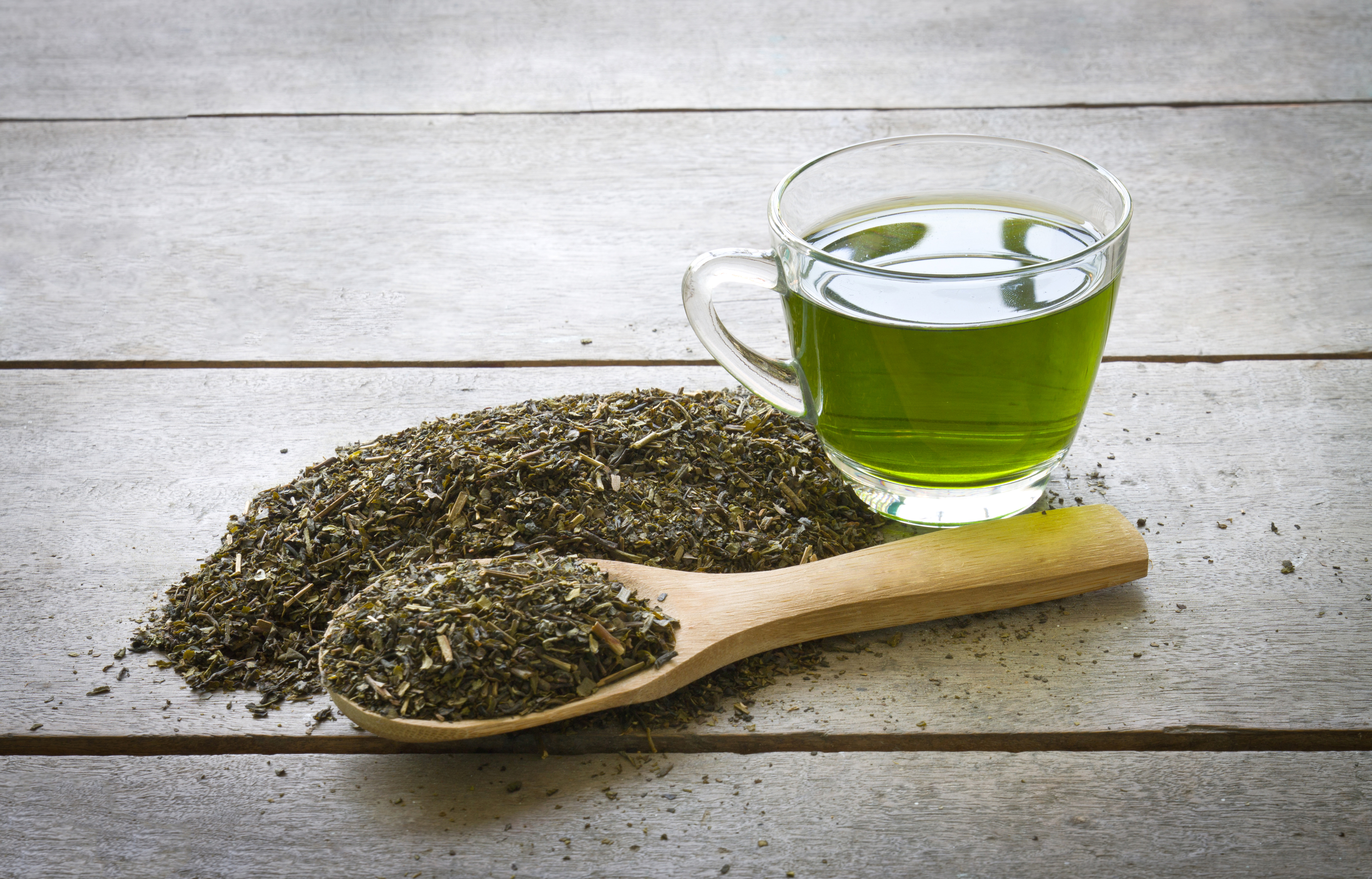 Moringa Tea Cut